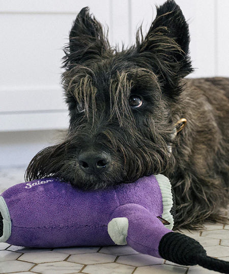 Pet-play-jouet-peluche-chien-SplishSplash-Howlin_-Hair-Dryer