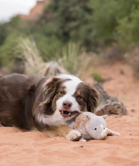 Pet-play-jouet-peluche-chien-big-five-of-africa-Rhino