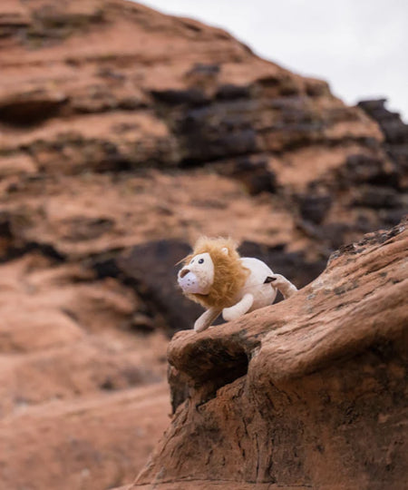 Pet-play-jouet-peluche-chien-big-five-of-africa-lion