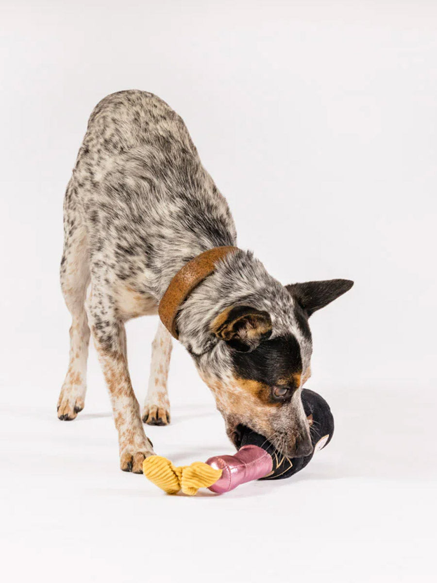 Pet-play-jouet-peluche-chien-bouteille-champagne-celebrate