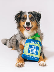 Pet-play-jouet-peluche-chien-farm-fresh-celeri