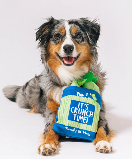 Pet-play-jouet-peluche-chien-farm-fresh-celeri