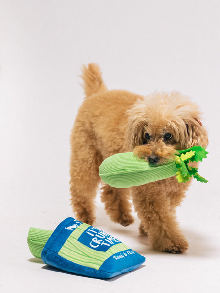 Pet-play-jouet-peluche-chien-farm-fresh-celeri