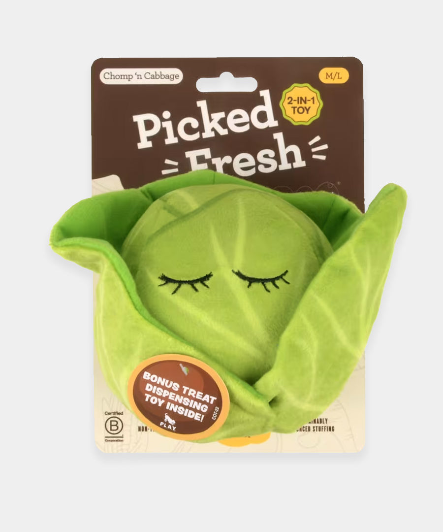 Pet-play-jouet-peluche-chien-farm-fresh-chou-vert