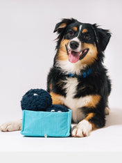 Pet-play-jouet-peluche-chien-farm-fresh-myrtille