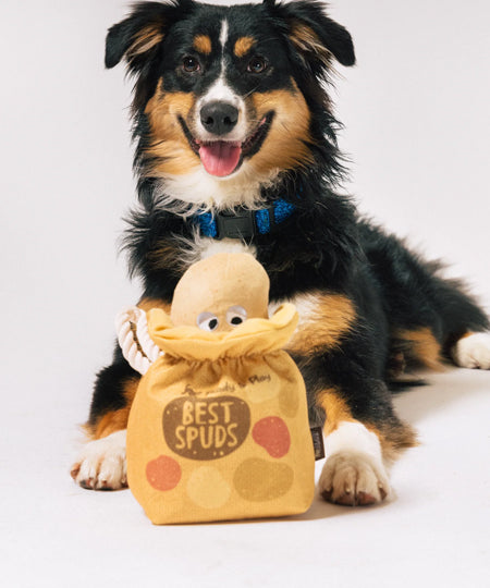 Pet-play-jouet-peluche-chien-farm-fresh-pomme-de-terre