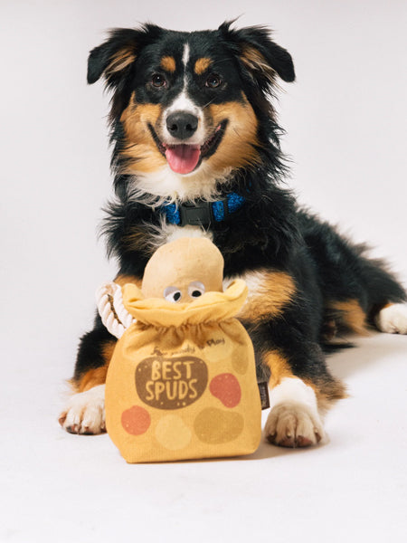 Pet-play-jouet-peluche-chien-farm-fresh-pomme-de-terre