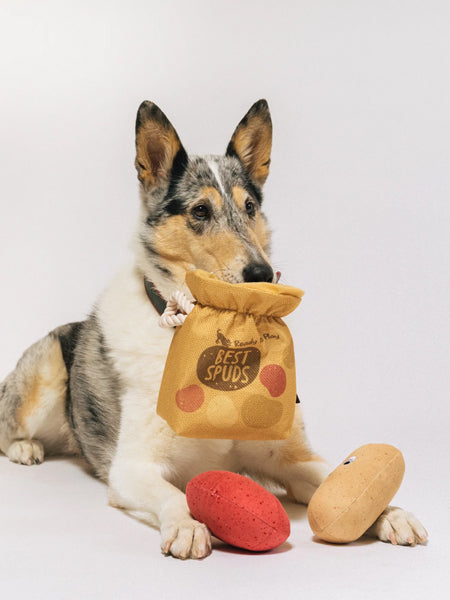Pet-play-jouet-peluche-chien-farm-fresh-pomme-de-terre