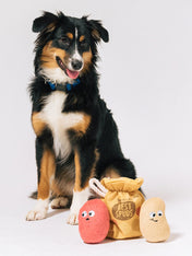 Pet-play-jouet-peluche-chien-farm-fresh-pomme-de-terre