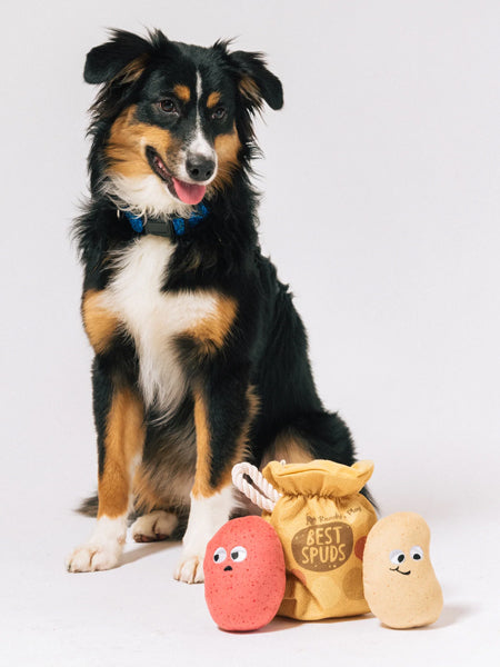 Pet-play-jouet-peluche-chien-farm-fresh-pomme-de-terre