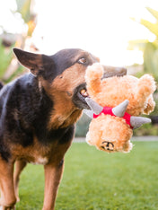 Pet-play-jouet-peluche-chien-spike