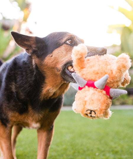 Pet-play-jouet-peluche-chien-spike