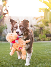 Pet-play-jouet-peluche-chien-spike