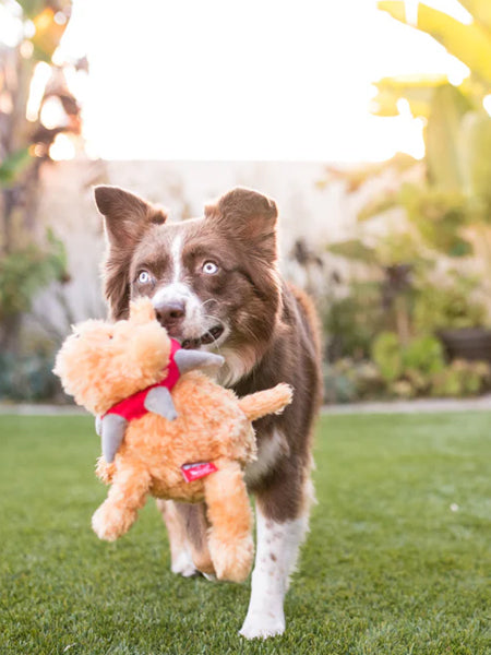 Pet-play-jouet-peluche-chien-spike