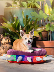 Pet-play-lit-couchage-pour-chien-spike