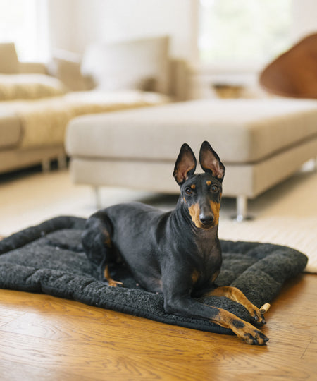 Pet-play-tapis-couchage-pour-chien-Chill-Pad-Canyon-Series-noir