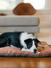Pet-play-tapis-couchage-pour-chien-Chill-Pad-Canyon-Series-terracotta