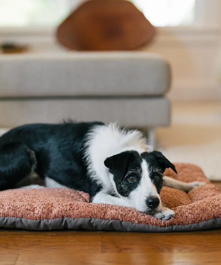 Pet-play-tapis-couchage-pour-chien-Chill-Pad-Canyon-Series-terracotta