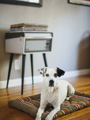 Pet-play-tapis-couchage-pour-chien-Chill-Pad-horizon-Series-woodland