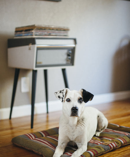 Pet-play-tapis-couchage-pour-chien-Chill-Pad-horizon-Series-woodland