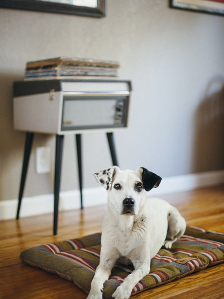 Pet-play-tapis-couchage-pour-chien-Chill-Pad-horizon-Series-woodland