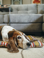 Pet-play-tapis-couchage-pour-chien-Chill-Pad-horizon-Series-woodland