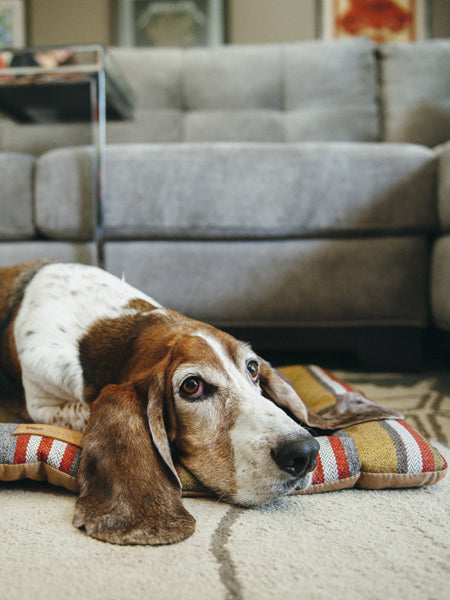 Pet-play-tapis-couchage-pour-chien-Chill-Pad-horizon-Series-woodland