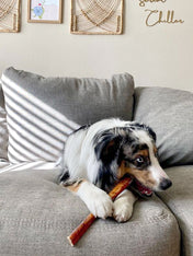 Pets-best-friandises-a-macher-pour-chien-bully-stick-40cm