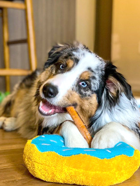 Pets-best-friandises-a-macher-pour-chien-bully-stick-40cm