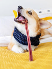 Pets-best-friandises-a-macher-pour-chien-bully-stick-40cm