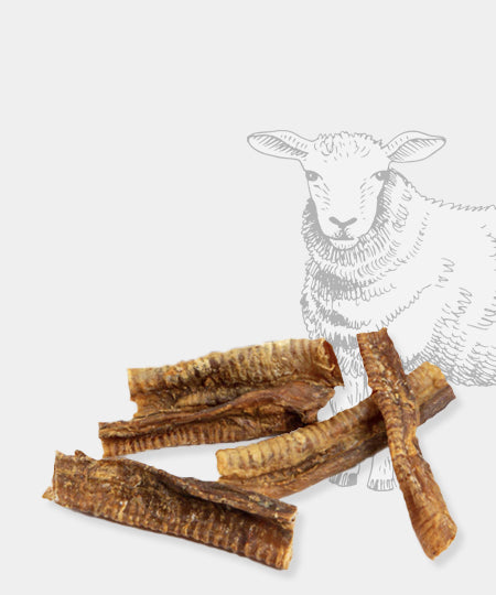 Pets-best-friandises-naturelle-pour-chien-premium-trachée-agneau