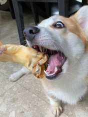 Pets-best-friandises-pour-chien-premium-oreille-de-cerf