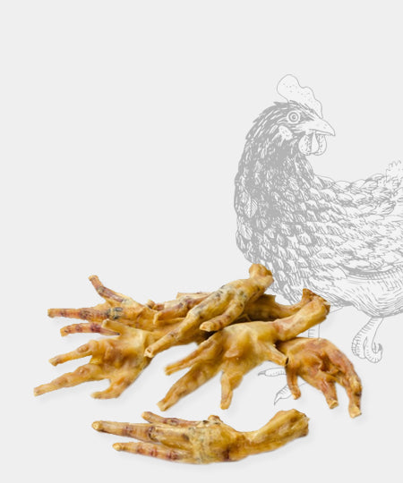 Pets-best-friandises-pour-chien-premium-patte-de-poulet-chien