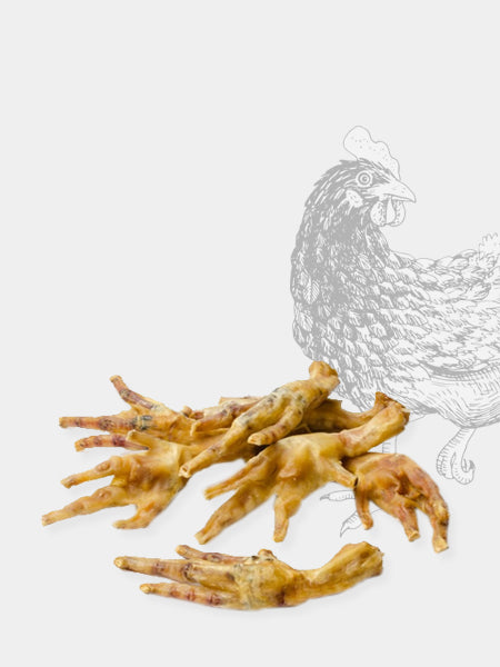 Pets-best-friandises-pour-chien-premium-patte-de-poulet-chien