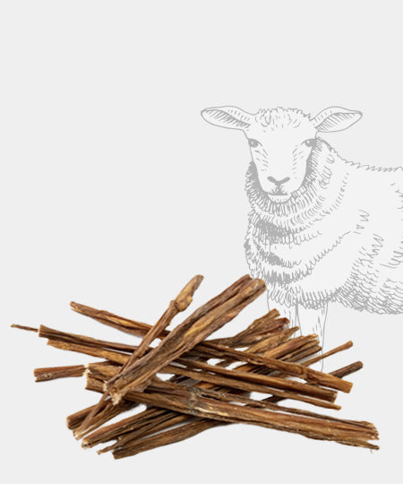 Pets-best-friandises-pour-chien-premium-spaghetti-agneau