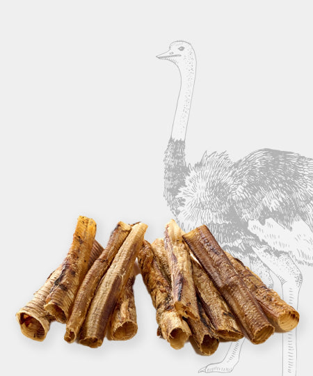 Pets-best-friandises-pour-chien-premium-trachee-autruche