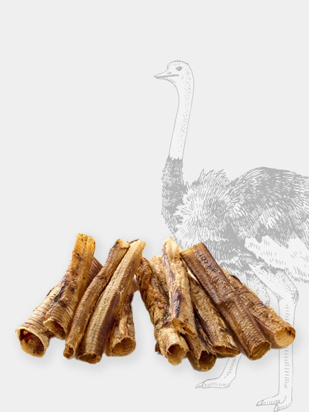 Pets-best-friandises-pour-chien-premium-trachee-autruche