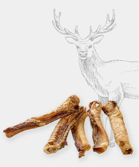 Pets-best-friandises-pour-chien-premium-trachee-de-cerf