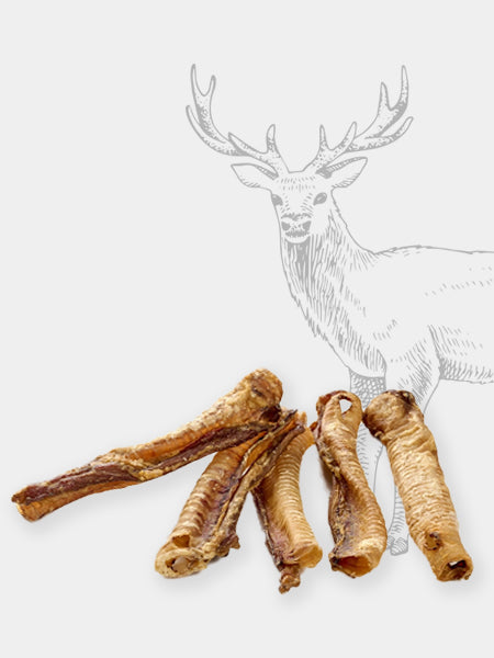 Pets-best-friandises-pour-chien-premium-trachee-de-cerf