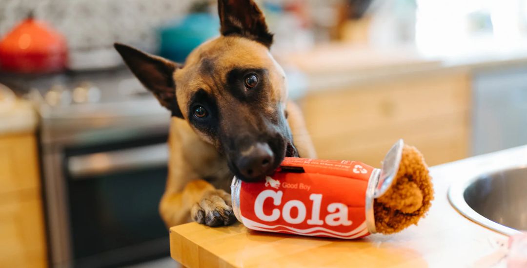 Pomotion pour chien et chat soldes inooko code promo photo (1)