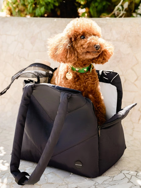 Pups-Bubs-Sac-de-transport-pour-chien-Destination-noir
