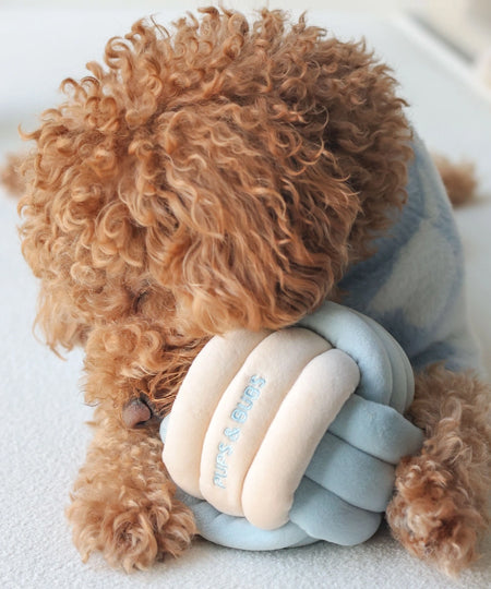 Pups-Bubs-peluche-balle-de-fouille-pour-chien