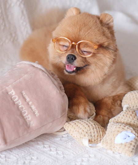 Pups-Bubs-peluche-fouille-pour-chien-pop-corn