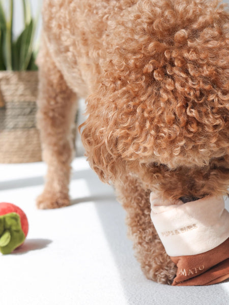 Pups-Bubs-peluche-fouille-pour-chien-sauce-tomate