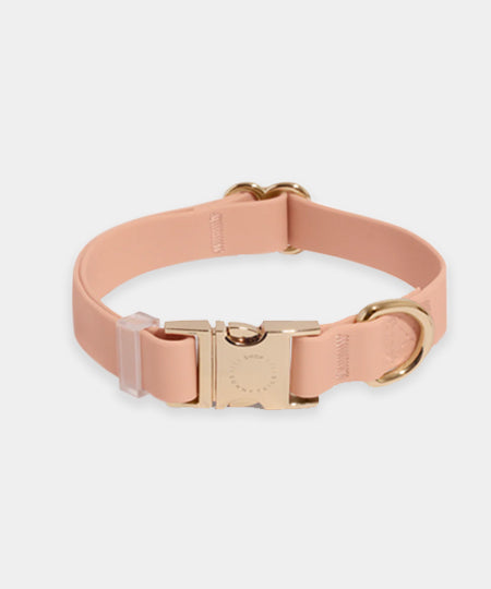 Shop-sunnytails-collier-waterproof-pour-chien-beige