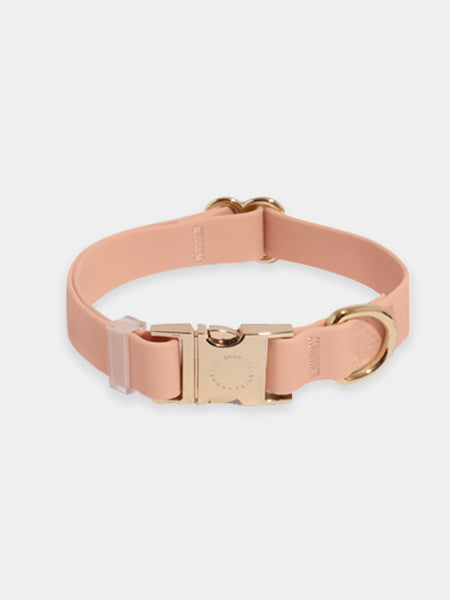 Shop-sunnytails-collier-waterproof-pour-chien-beige