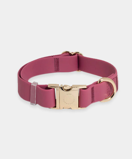 Shop-sunnytails-collier-waterproof-pour-chien-rose-fushia