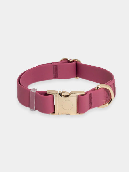 Shop-sunnytails-collier-waterproof-pour-chien-rose-fushia