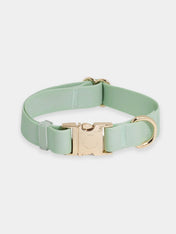 Shop-sunnytails-collier-waterproof-pour-chien-vert-pastel