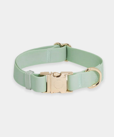 Shop-sunnytails-collier-waterproof-pour-chien-vert-pastel